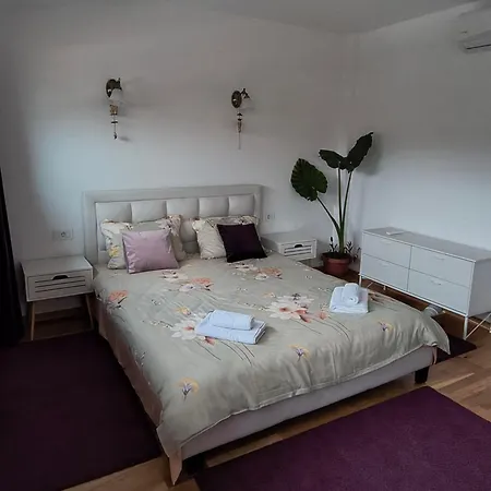 Charming In The Heart Of Bukarest