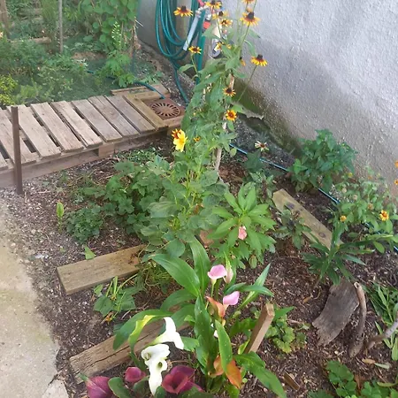 Charming In The Heart Of Bukarest