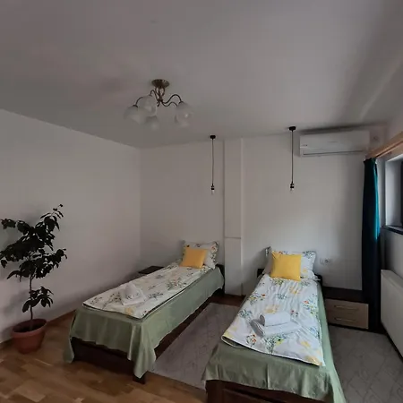 Charming In The Heart Of Villa Boekarest