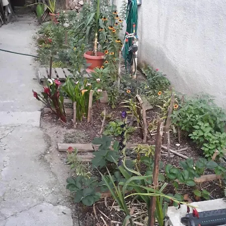 Charming In The Heart Of