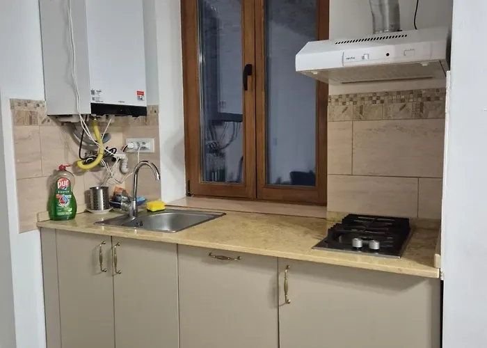 Vilă Charming In The Heart Of Bucureşti