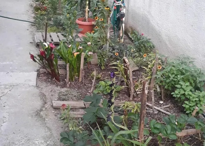 Charming In The Heart Of