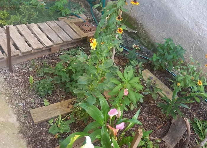 Charming In The Heart Of Bucharest